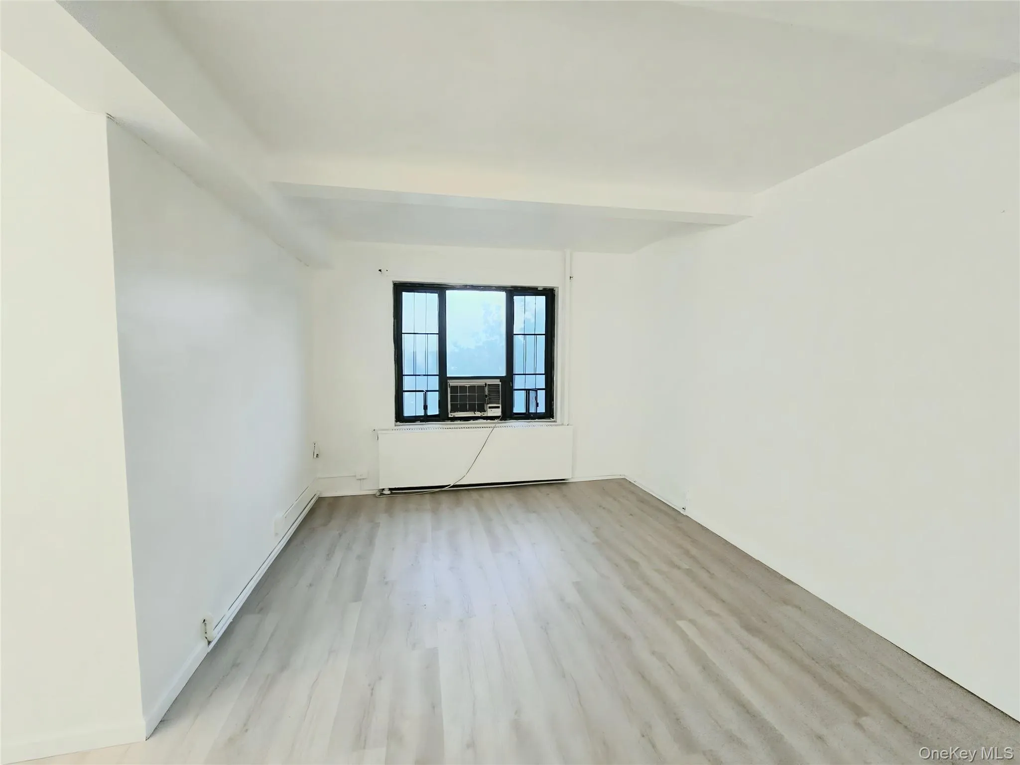 Interior space featuring wood-finish flooring, white walls, and a multi-pane window with a black frame Interior space featuring wood-finish flooring, white walls, and a multi-pane window with a black frame