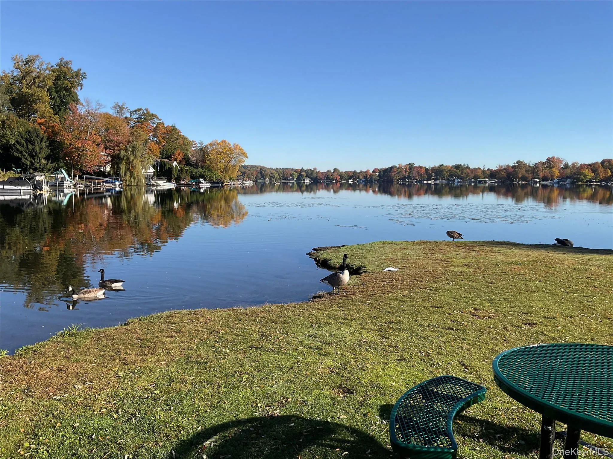 32 Crest Drive, Carmel, NY, 1 Bedroom Bedrooms, 3 Rooms Rooms,1 BathroomBathrooms,Residential,For Rent,Crest,0,1064108 32 Crest Drive, Carmel, NY, 1 Bedroom Bedrooms, 3 Rooms Rooms,1 BathroomBathrooms,Residential,For Rent,Crest,0,1064108