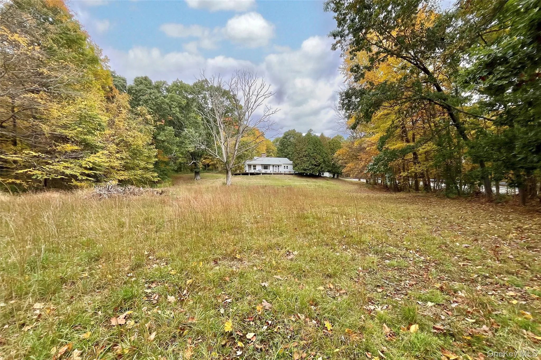 1336 Route 343, Dover, NY, 2 Bedrooms Bedrooms, 4 Rooms Rooms,1 BathroomBathrooms,Residential,For Rent,Route 343,0,1064295 1336 Route 343, Dover, NY, 2 Bedrooms Bedrooms, 4 Rooms Rooms,1 BathroomBathrooms,Residential,For Rent,Route 343,0,1064295