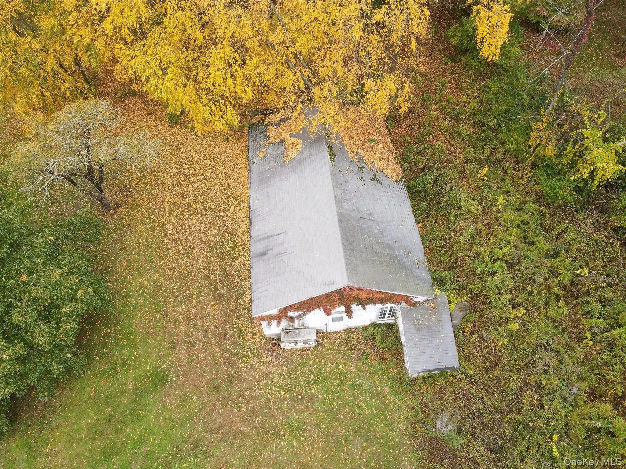 1336 Route 343, Dover, NY, 2 Bedrooms Bedrooms, 4 Rooms Rooms,1 BathroomBathrooms,Residential,For Rent,Route 343,0,1064295 1336 Route 343, Dover, NY, 2 Bedrooms Bedrooms, 4 Rooms Rooms,1 BathroomBathrooms,Residential,For Rent,Route 343,0,1064295