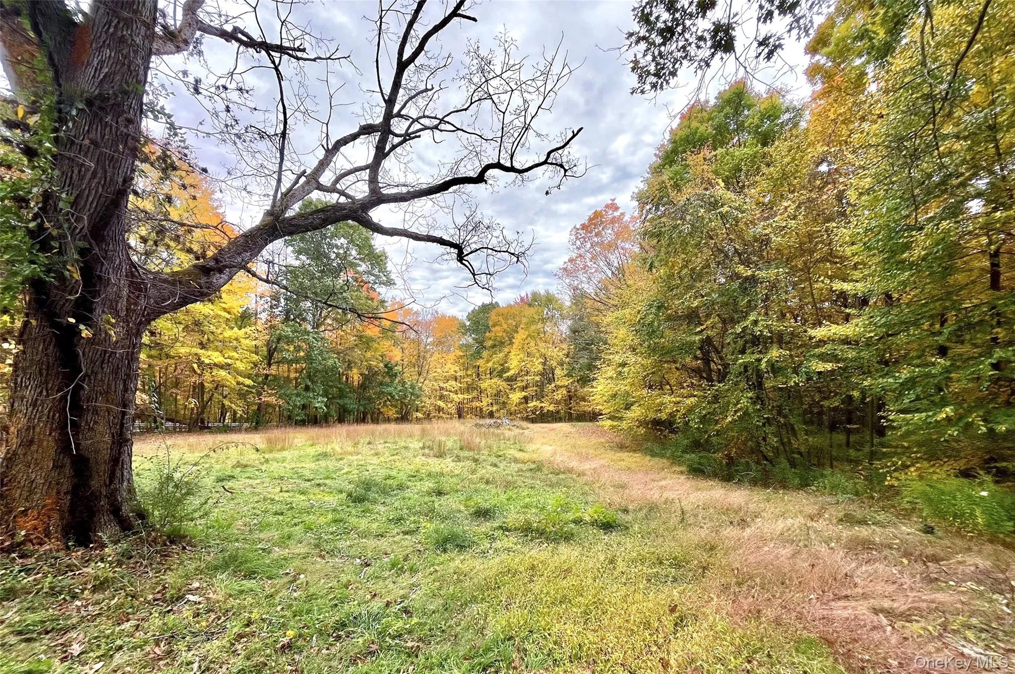 1336 Route 343, Dover, NY, 2 Bedrooms Bedrooms, 4 Rooms Rooms,1 BathroomBathrooms,Residential,For Rent,Route 343,0,1064295 1336 Route 343, Dover, NY, 2 Bedrooms Bedrooms, 4 Rooms Rooms,1 BathroomBathrooms,Residential,For Rent,Route 343,0,1064295