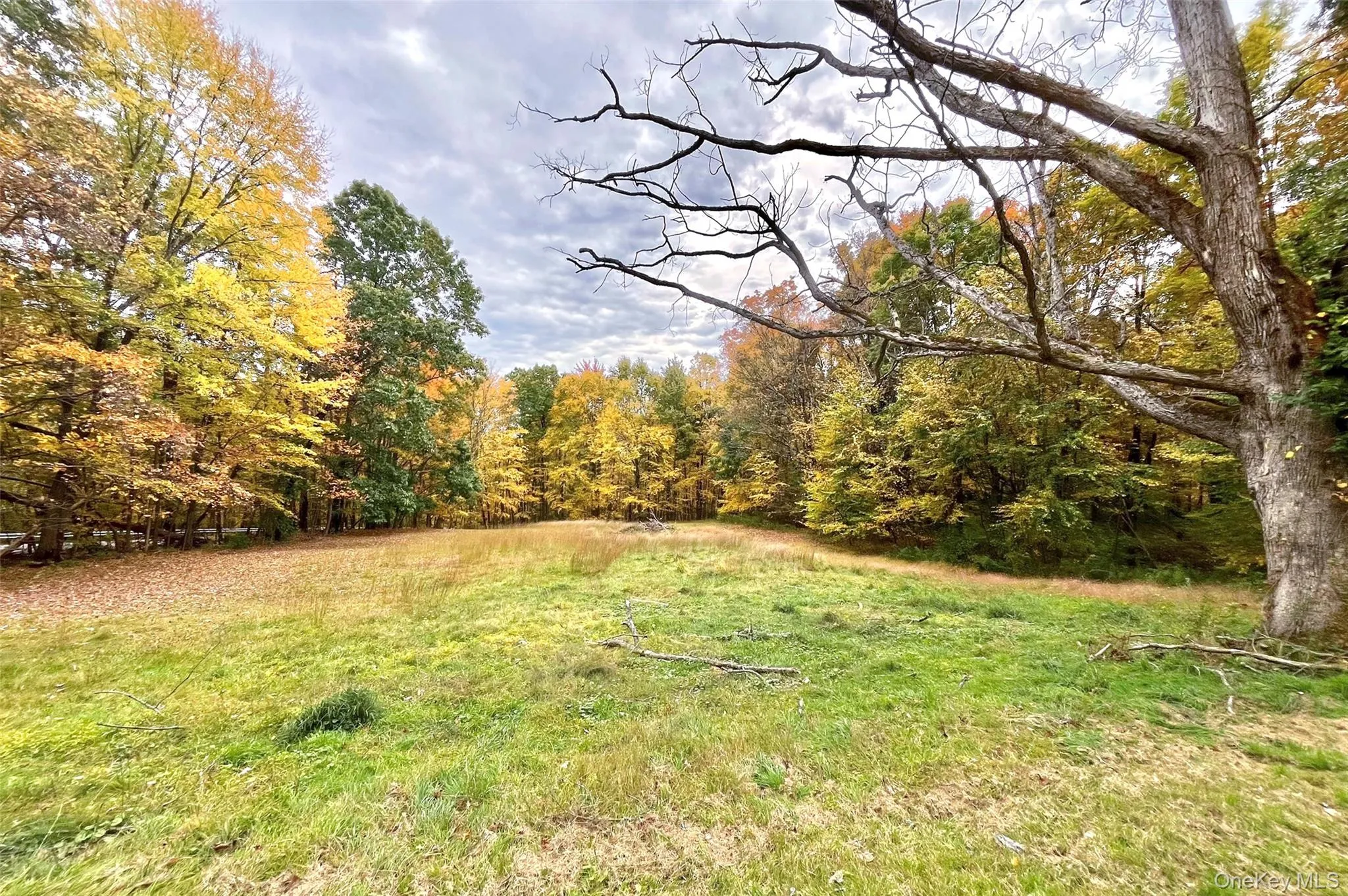 1336 Route 343, Dover, NY, 2 Bedrooms Bedrooms, 4 Rooms Rooms,1 BathroomBathrooms,Residential,For Rent,Route 343,0,1064295 1336 Route 343, Dover, NY, 2 Bedrooms Bedrooms, 4 Rooms Rooms,1 BathroomBathrooms,Residential,For Rent,Route 343,0,1064295