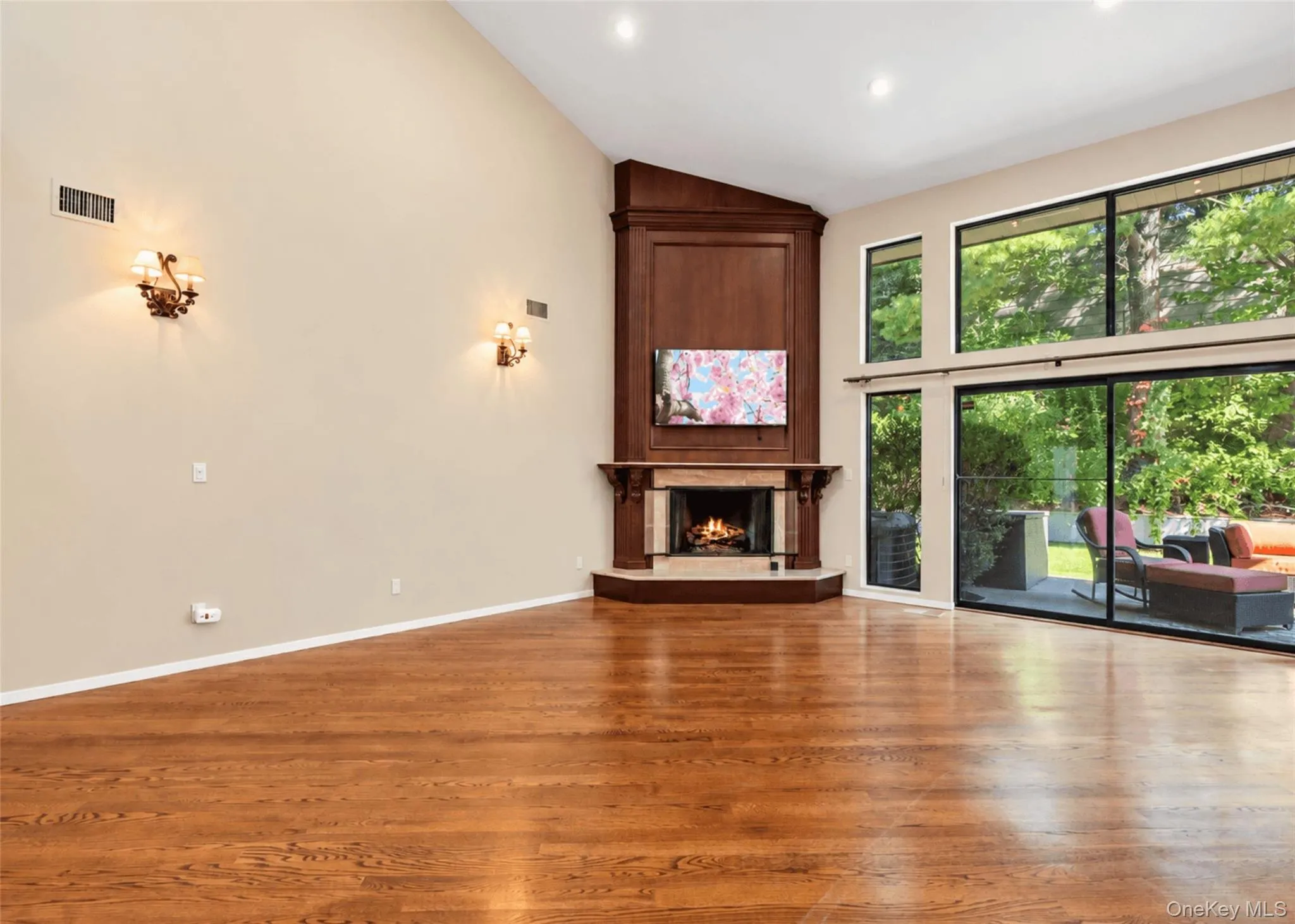 Gas Fireplace Gas Fireplace