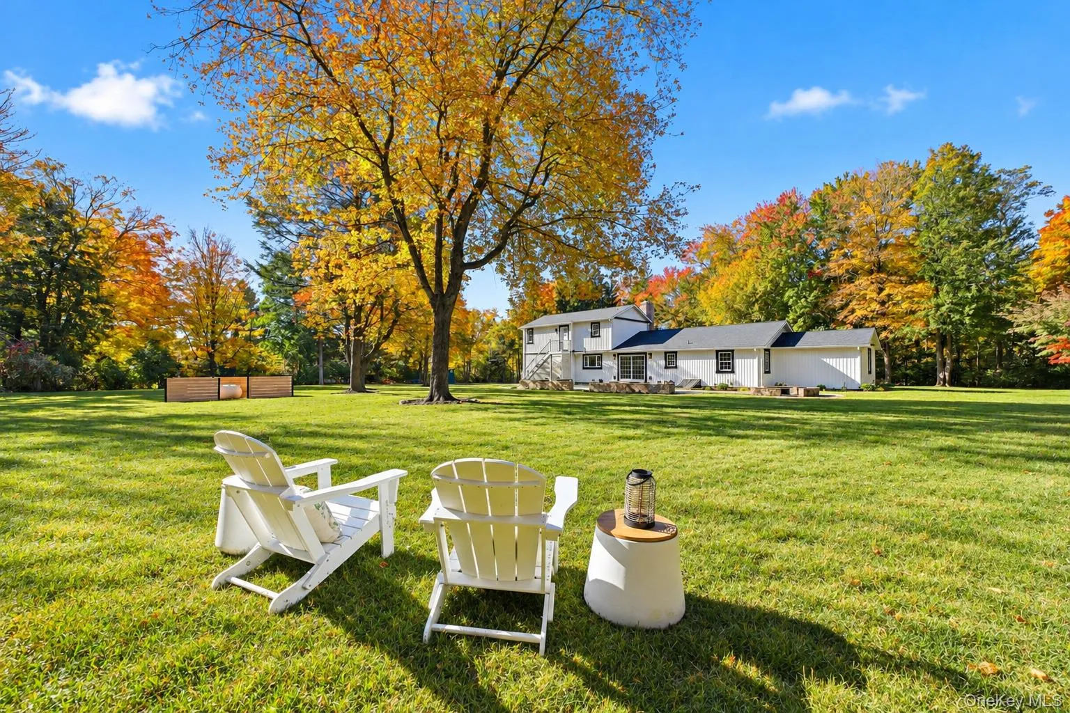 Backyard Backyard