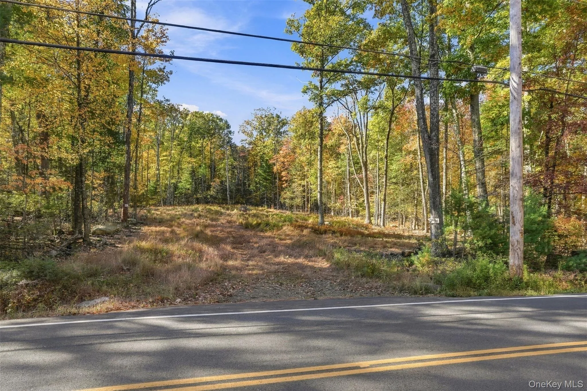 791 Samsonville Road, Rochester, NY, ,Land,For Rent,Samsonville,0,1064570 791 Samsonville Road, Rochester, NY, ,Land,For Rent,Samsonville,0,1064570