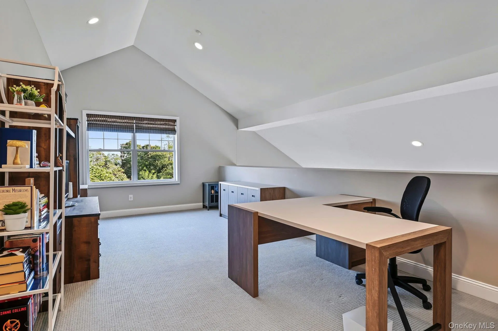 Vaulted ceiling, neutral carpet flooring, recessed lighting, and a multi-pane window Vaulted ceiling, neutral carpet flooring, recessed lighting, and a multi-pane window