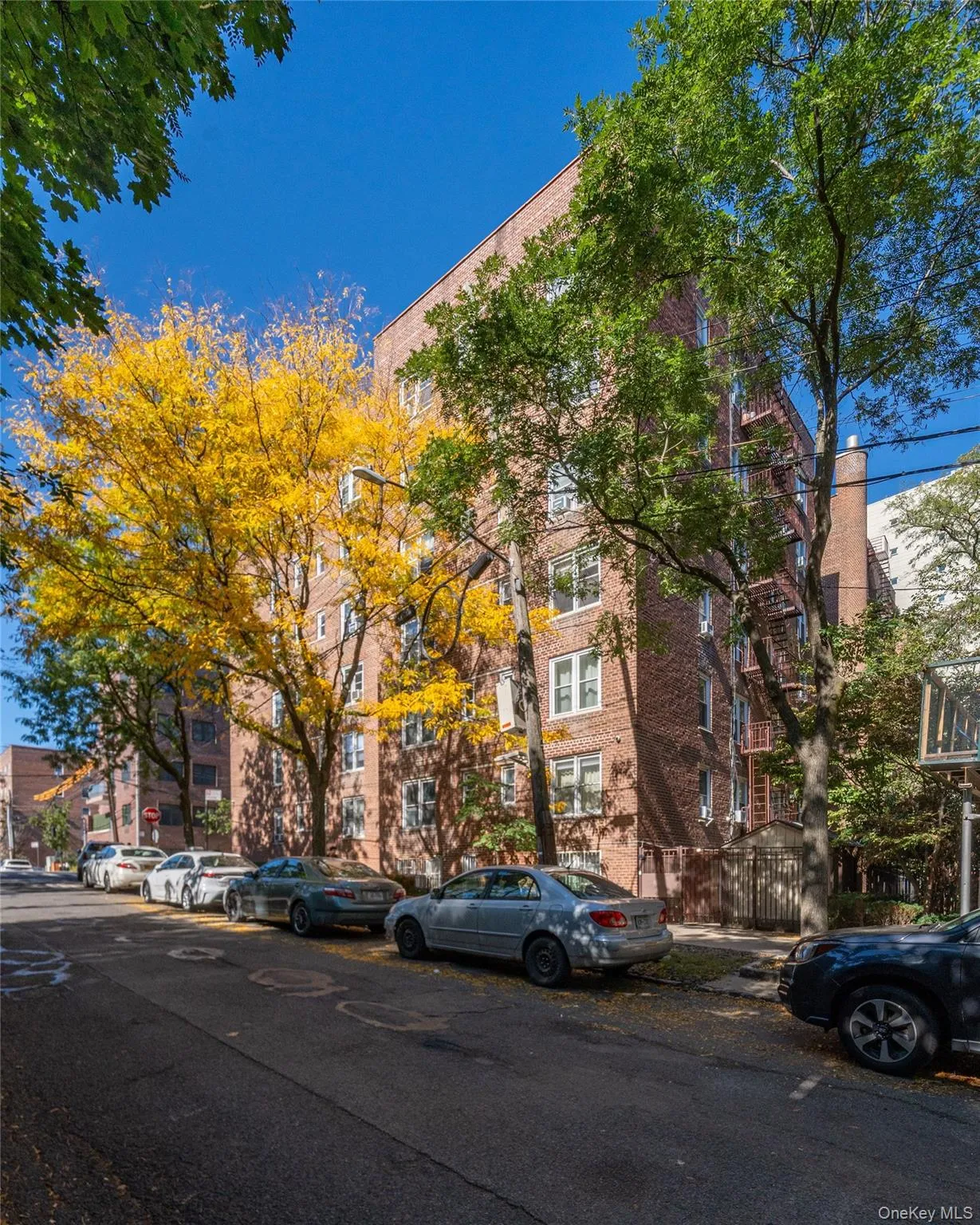 3210 Arlington Avenue, New York, NY, 1 Bedroom Bedrooms, 4 Rooms Rooms,1 BathroomBathrooms,Residential,For Rent,Arlington,0,1064632 3210 Arlington Avenue, New York, NY, 1 Bedroom Bedrooms, 4 Rooms Rooms,1 BathroomBathrooms,Residential,For Rent,Arlington,0,1064632