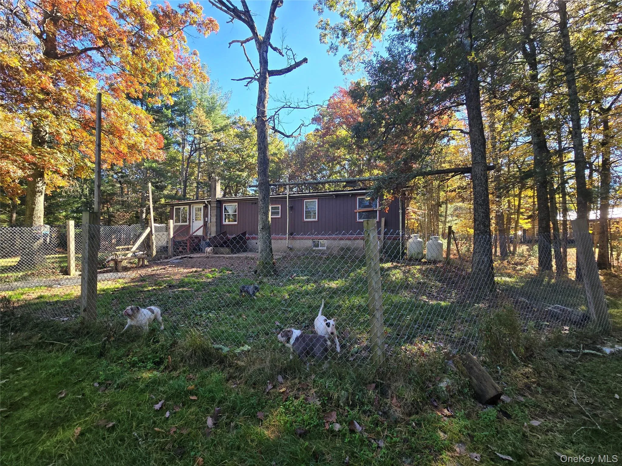 24 Frazier Road, Highland, NY, 3 Bedrooms Bedrooms, 7 Rooms Rooms,2 BathroomsBathrooms,Residential,For Rent,Frazier,0,1064639 24 Frazier Road, Highland, NY, 3 Bedrooms Bedrooms, 7 Rooms Rooms,2 BathroomsBathrooms,Residential,For Rent,Frazier,0,1064639