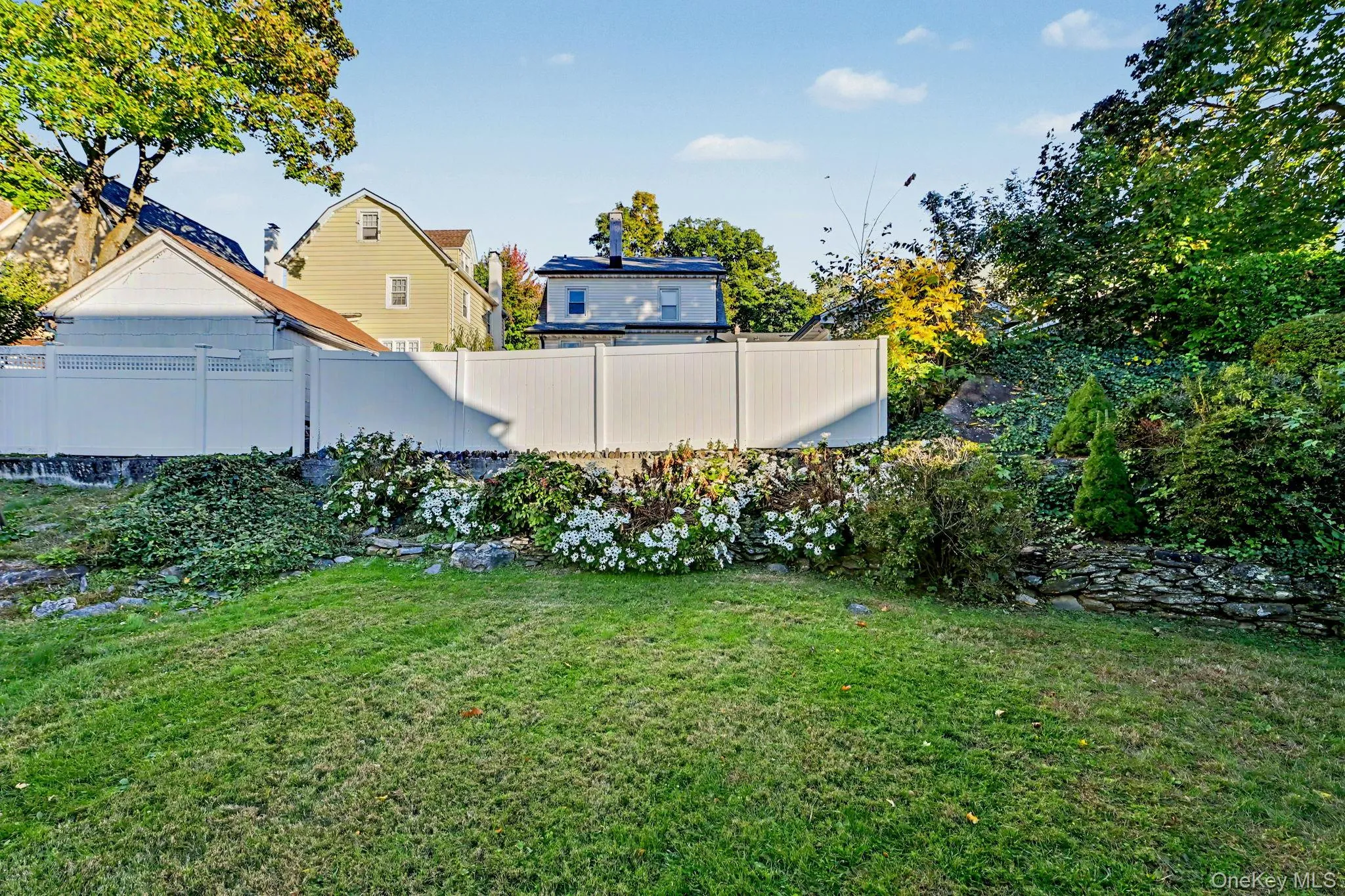 Backyard Backyard