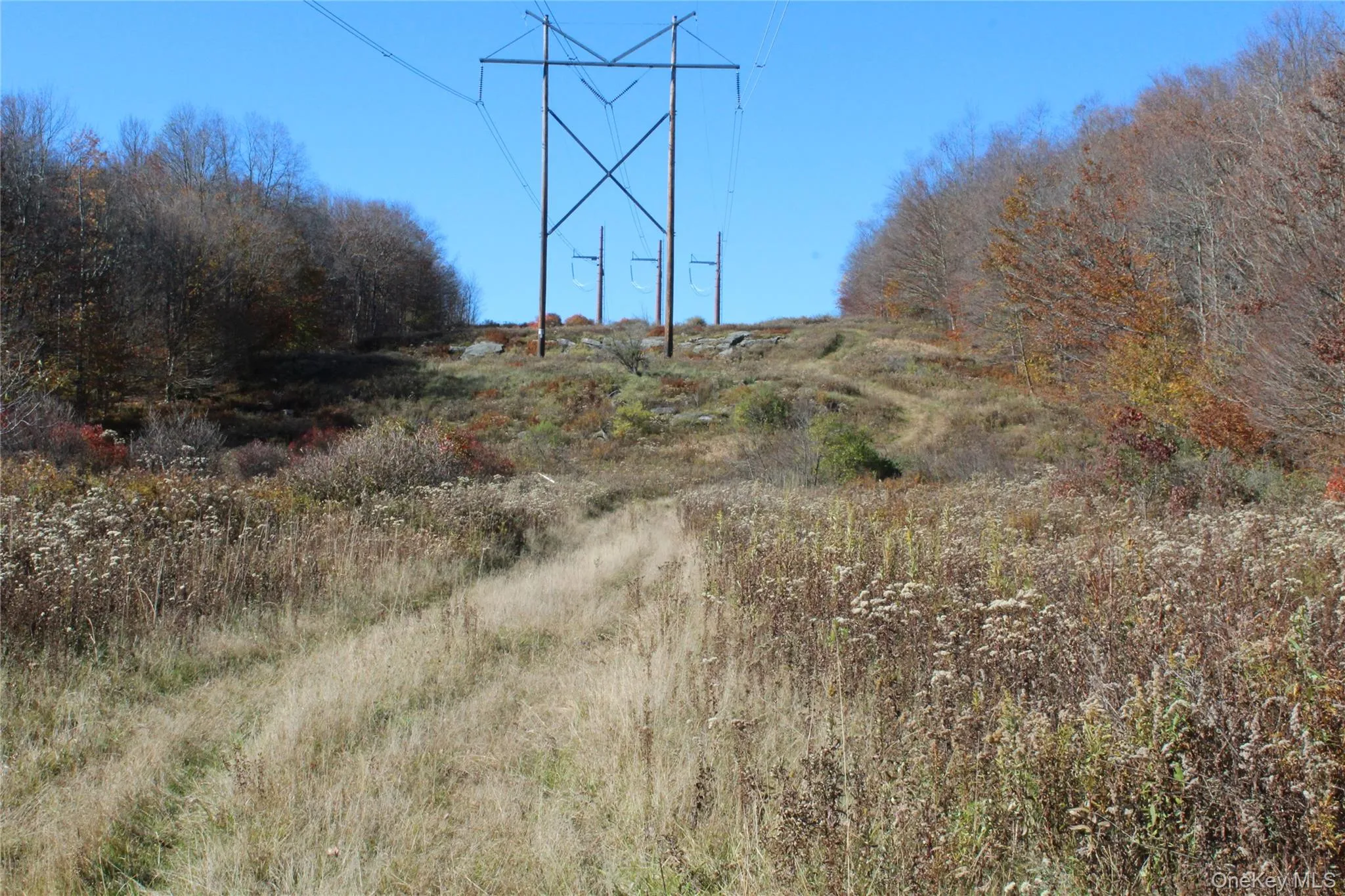 Open acreage featuring natural grasses, mature trees, and existing utility infrastructure Open acreage featuring natural grasses, mature trees, and existing utility infrastructure