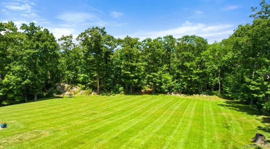 View of lush backyard View of lush backyard