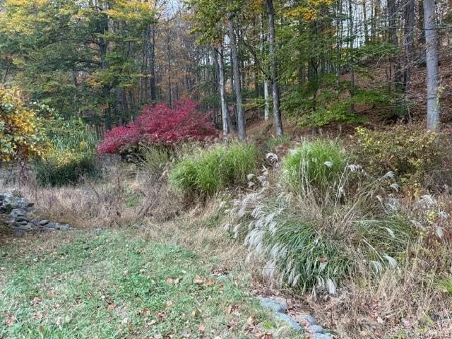 82 Moon Haw Road, Olive, NY, 3 Bedrooms Bedrooms, 5 Rooms Rooms,1 BathroomBathrooms,Residential,For Rent,Moon Haw,0,1064978 82 Moon Haw Road, Olive, NY, 3 Bedrooms Bedrooms, 5 Rooms Rooms,1 BathroomBathrooms,Residential,For Rent,Moon Haw,0,1064978