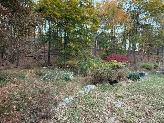82 Moon Haw Road, Olive, NY, 3 Bedrooms Bedrooms, 5 Rooms Rooms,1 BathroomBathrooms,Residential,For Rent,Moon Haw,0,1064978 82 Moon Haw Road, Olive, NY, 3 Bedrooms Bedrooms, 5 Rooms Rooms,1 BathroomBathrooms,Residential,For Rent,Moon Haw,0,1064978