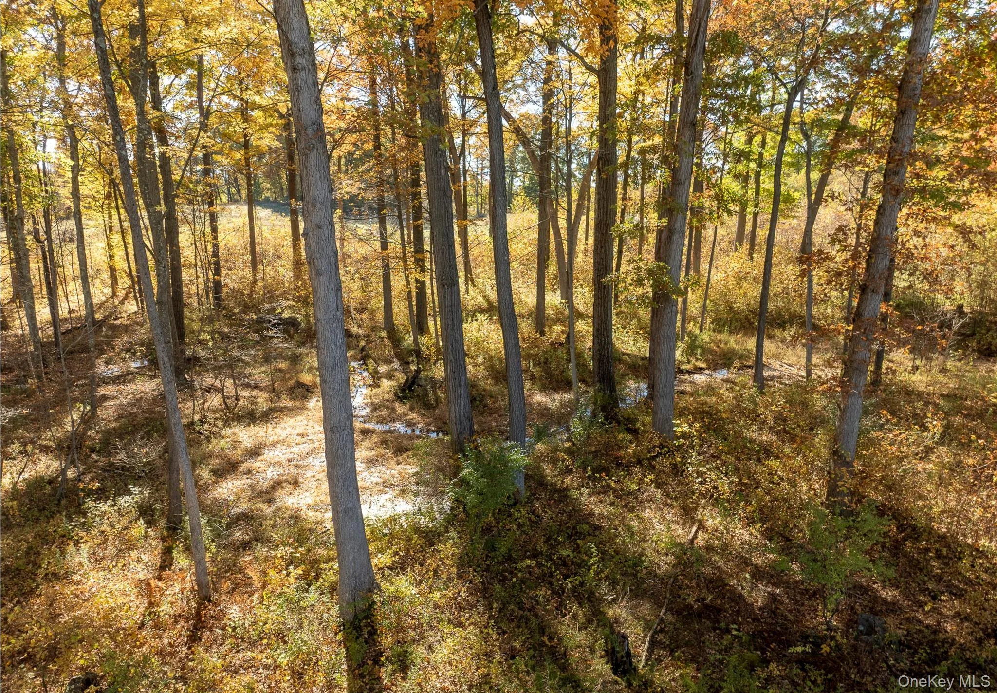 79 Fox Lane, Clermont, NY, ,Land,For Rent,Fox,0,1064993 79 Fox Lane, Clermont, NY, ,Land,For Rent,Fox,0,1064993
