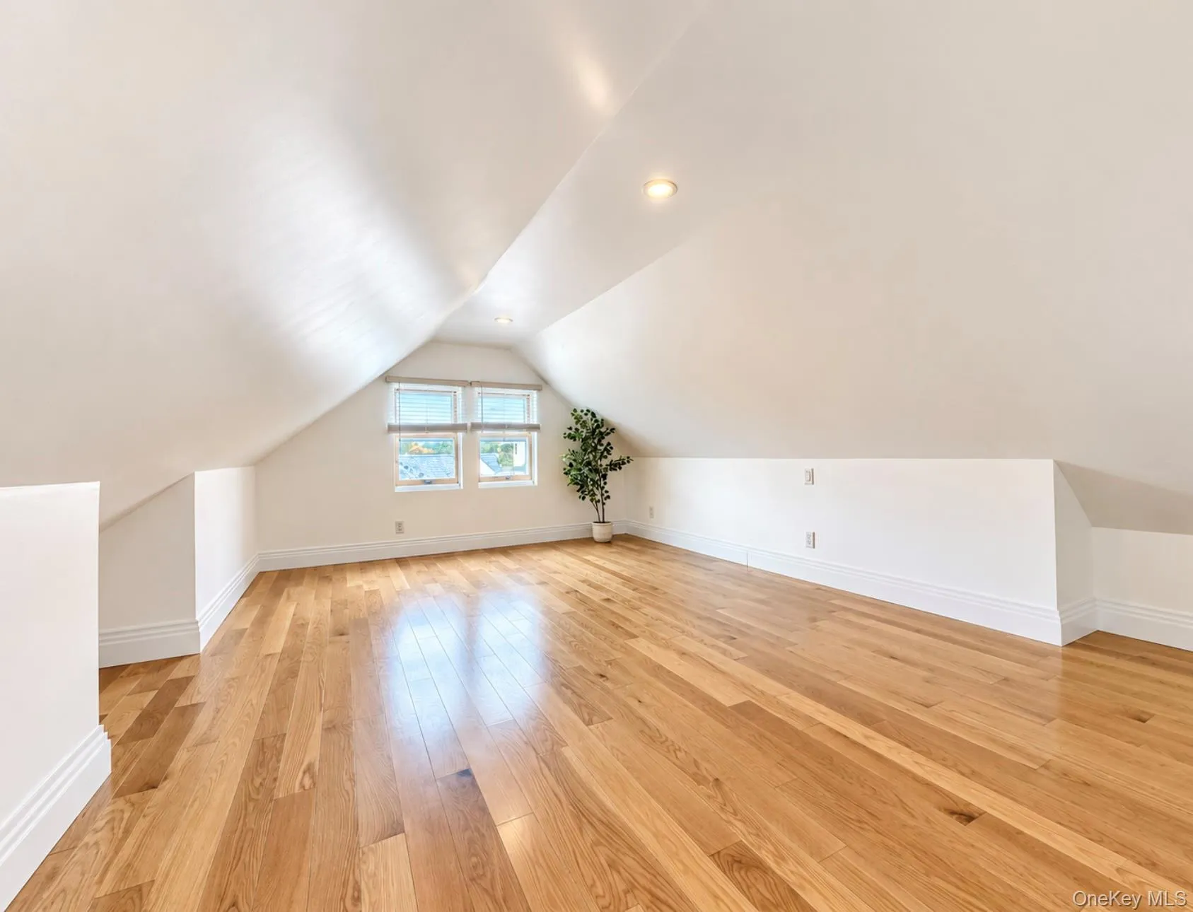 8827 Aubrey Avenue, New York, NY, 3 Bedrooms Bedrooms, 9 Rooms Rooms,1 BathroomBathrooms,Residential,For Rent,Aubrey,0,1064996 8827 Aubrey Avenue, New York, NY, 3 Bedrooms Bedrooms, 9 Rooms Rooms,1 BathroomBathrooms,Residential,For Rent,Aubrey,0,1064996