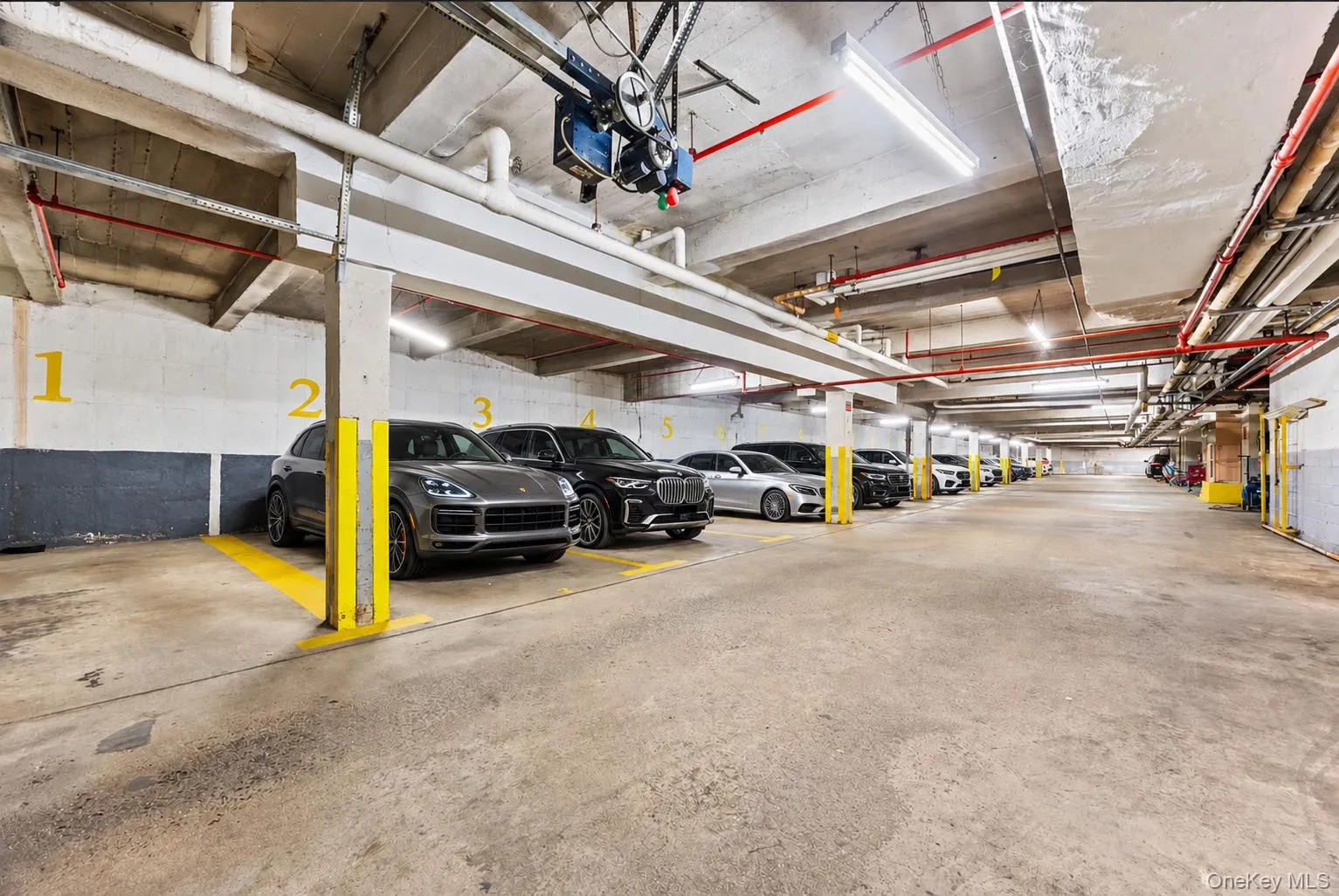 150-15 79th Avenue, New York, NY, 1 Bedroom Bedrooms, 4 Rooms Rooms,1 BathroomBathrooms,Residential,For Rent,79th,0,1065013 150-15 79th Avenue, New York, NY, 1 Bedroom Bedrooms, 4 Rooms Rooms,1 BathroomBathrooms,Residential,For Rent,79th,0,1065013