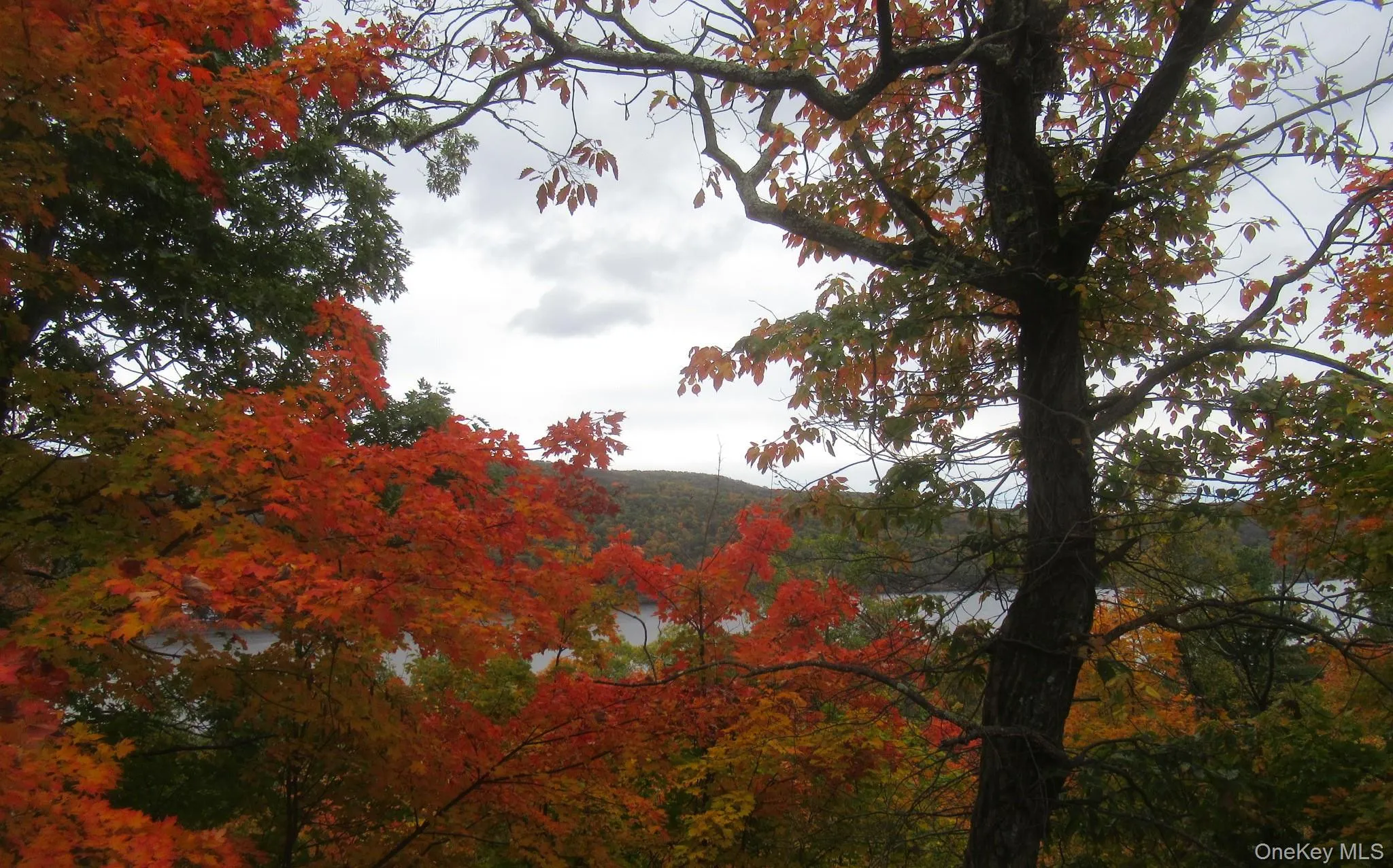 70 Deer Trail, Warwick (town), NY, 2 Bedrooms Bedrooms, 5 Rooms Rooms,1 BathroomBathrooms,Residential,For Rent,Deer,0,1065019 70 Deer Trail, Warwick (town), NY, 2 Bedrooms Bedrooms, 5 Rooms Rooms,1 BathroomBathrooms,Residential,For Rent,Deer,0,1065019