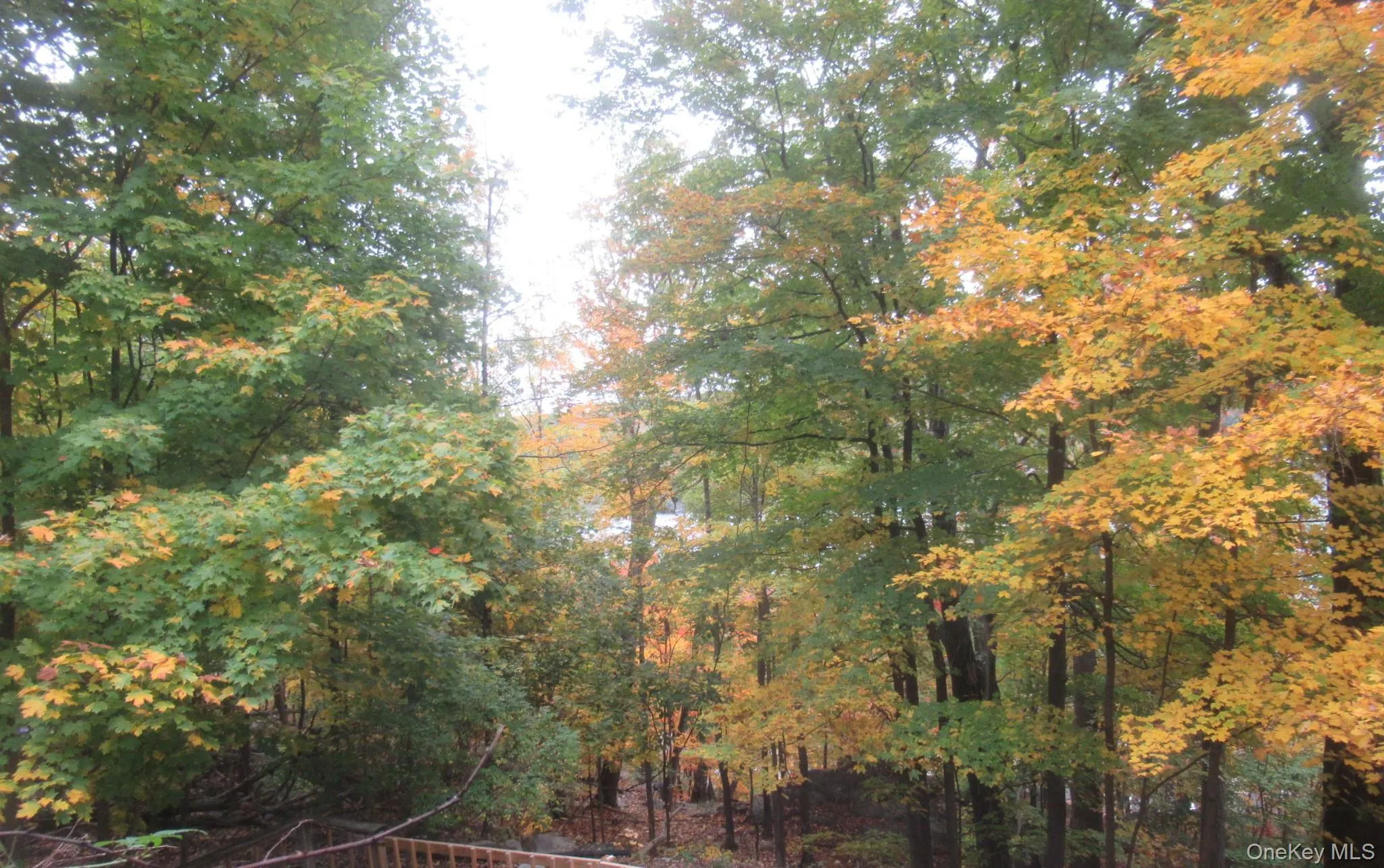 70 Deer Trail, Warwick (town), NY, 2 Bedrooms Bedrooms, 5 Rooms Rooms,1 BathroomBathrooms,Residential,For Rent,Deer,0,1065019 70 Deer Trail, Warwick (town), NY, 2 Bedrooms Bedrooms, 5 Rooms Rooms,1 BathroomBathrooms,Residential,For Rent,Deer,0,1065019