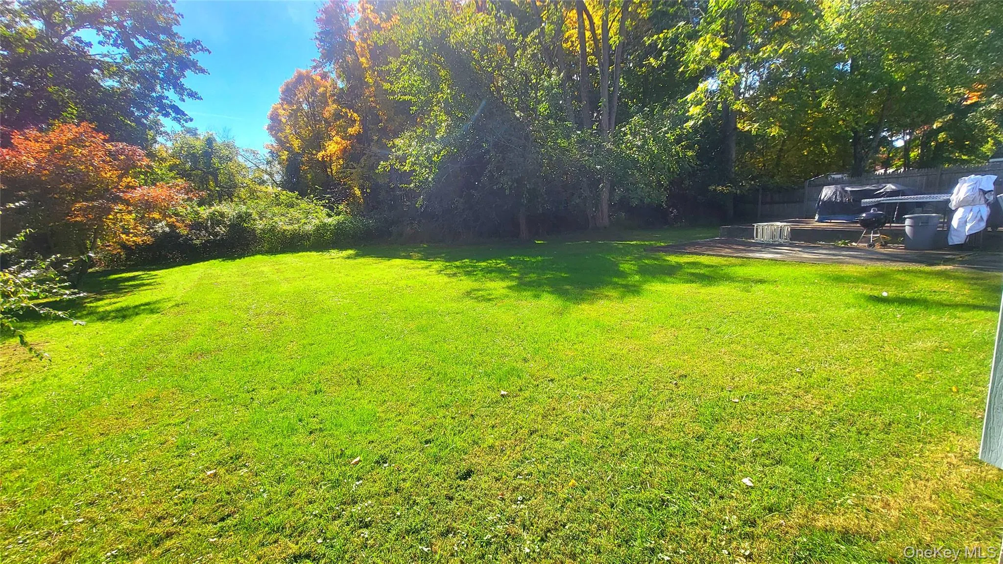 Great Backyard Great Backyard