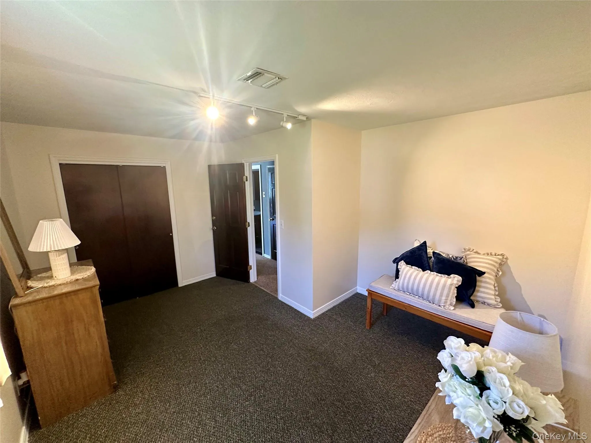 Room featuring dark-toned solid core doors, wall-to-wall carpeting, and adjustable track lighting Room featuring dark-toned solid core doors, wall-to-wall carpeting, and adjustable track lighting