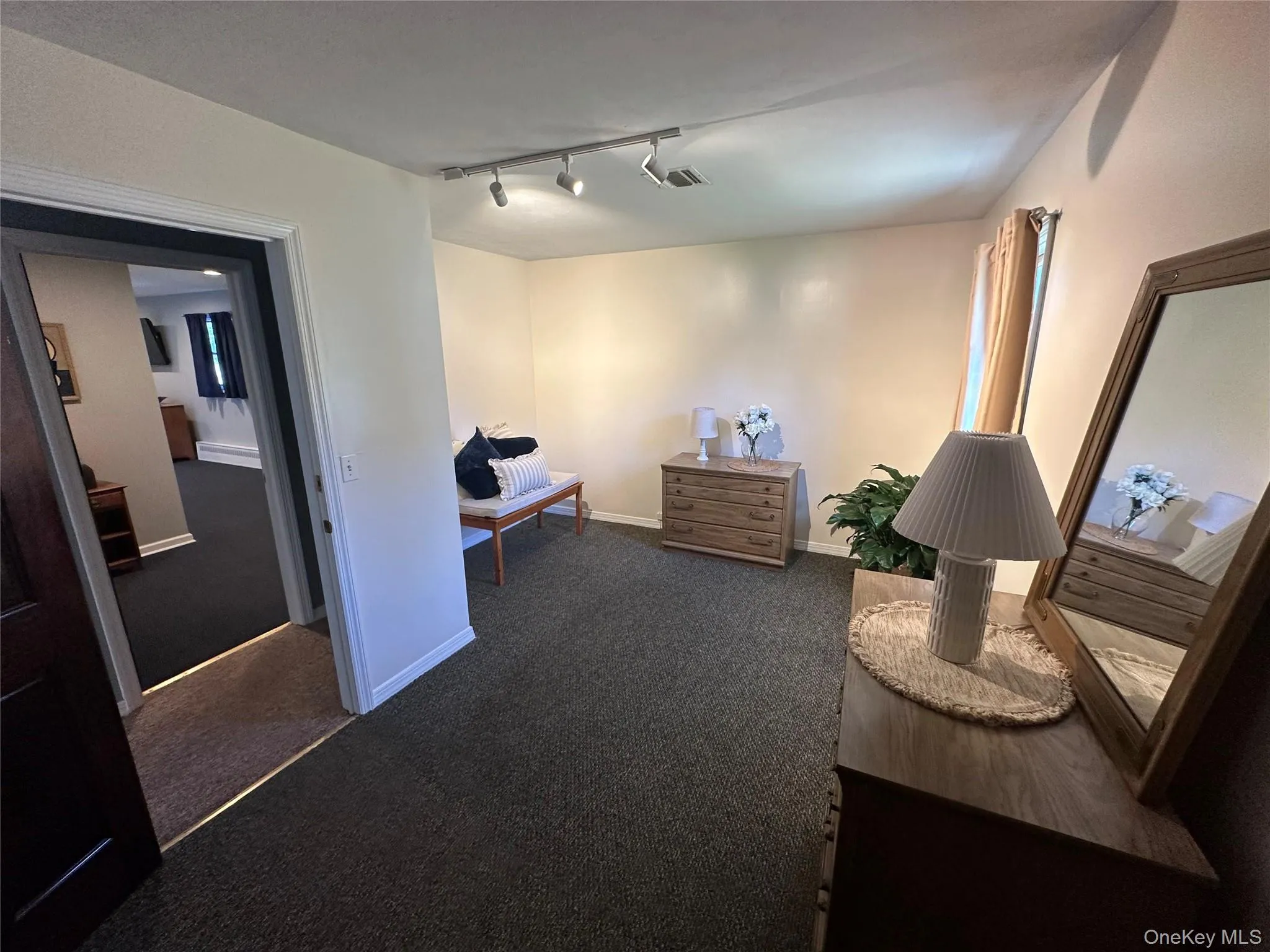 Interior space featuring wall-to-wall carpeting, adjustable multi-head track lighting, and a neutral color palette Interior space featuring wall-to-wall carpeting, adjustable multi-head track lighting, and a neutral color palette