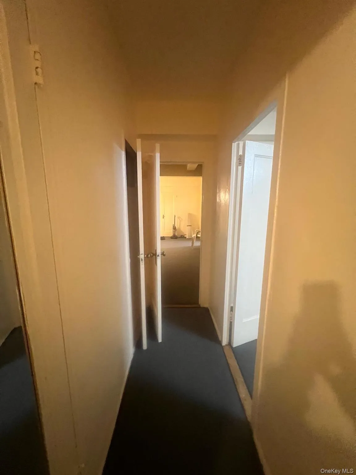 2061 Saint Raymond Avenue, New York, NY , With , 1 Bedroom , and , 2 Room , 1 Bathroom , For , Residential Lease , For Rent , 1065428 , MLSID,1065428 2061 Saint Raymond Avenue, New York, NY , With , 1 Bedroom , and , 2 Room , 1 Bathroom , For , Residential Lease , For Rent , 1065428 , MLSID,1065428