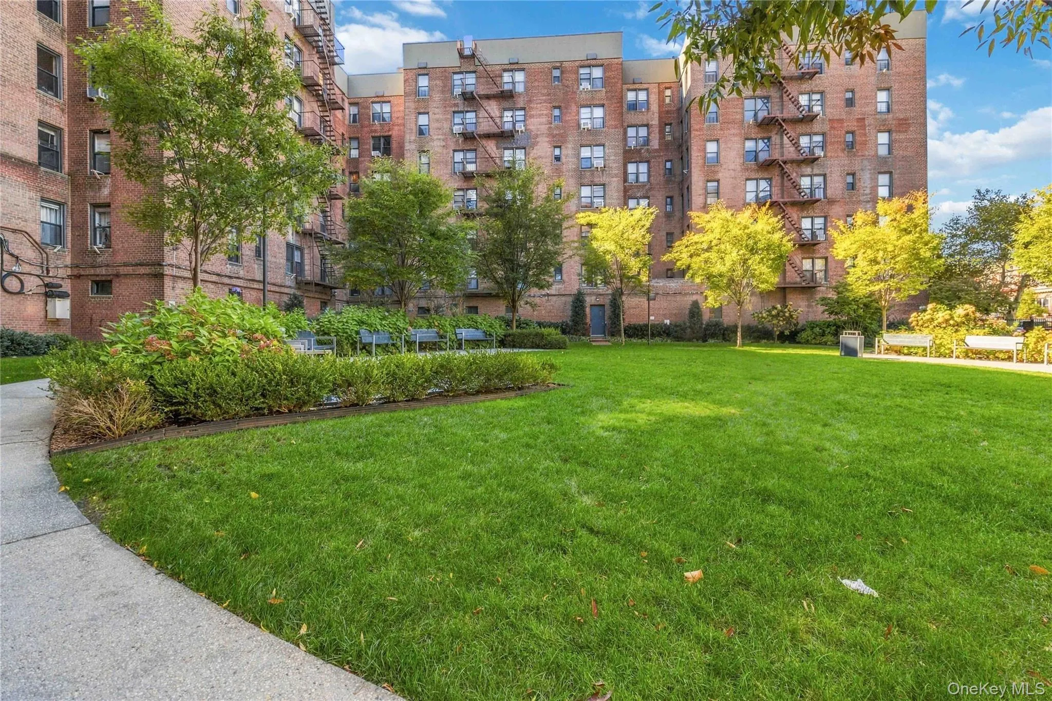 149-05 79th Avenue, New York, NY, 1 Bedroom Bedrooms, 2 Rooms Rooms,1 BathroomBathrooms,Residential,For Rent,79th Avenue,0,1065577 149-05 79th Avenue, New York, NY, 1 Bedroom Bedrooms, 2 Rooms Rooms,1 BathroomBathrooms,Residential,For Rent,79th Avenue,0,1065577