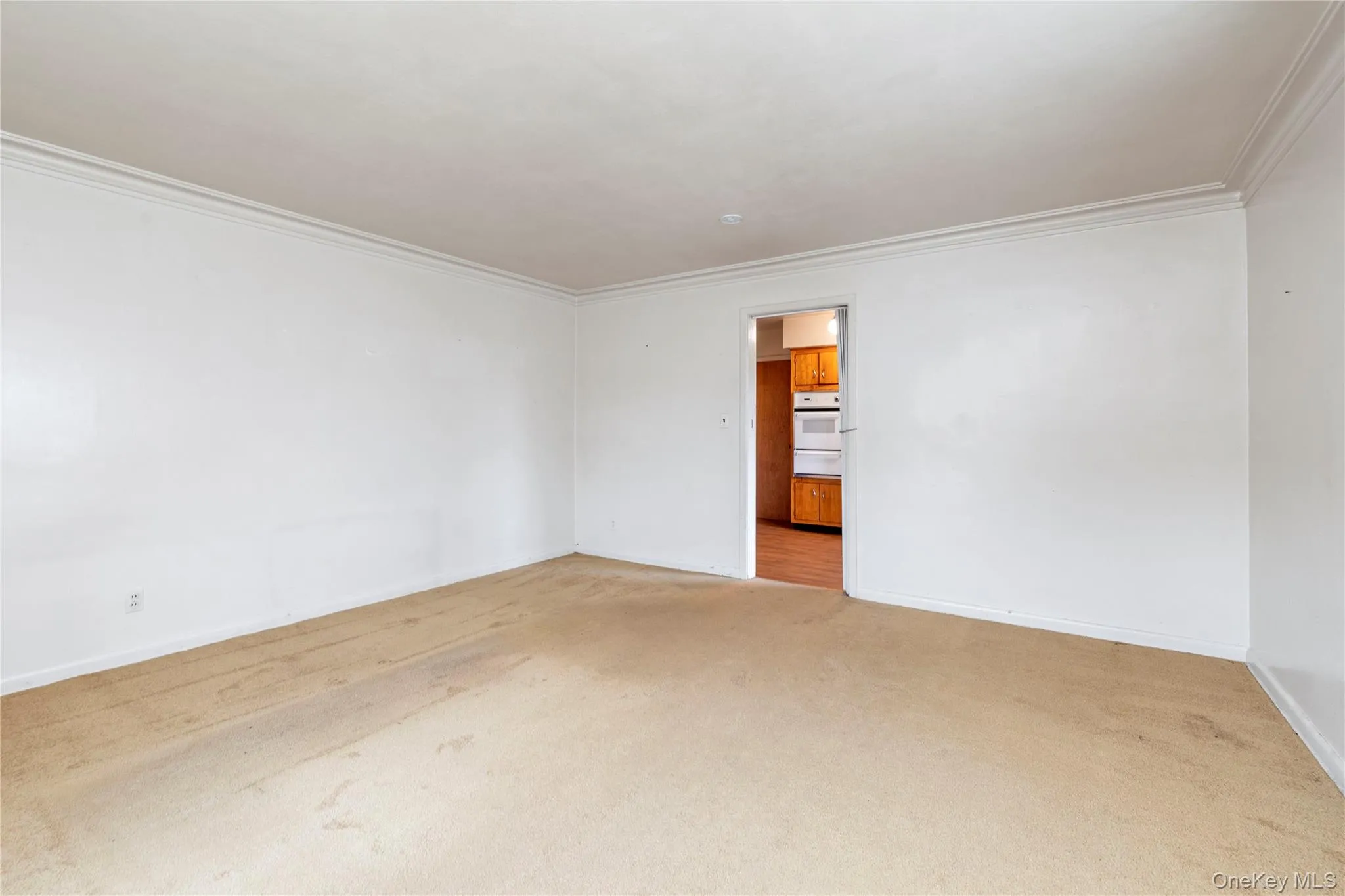 LARGE LIVING ROOM LARGE LIVING ROOM