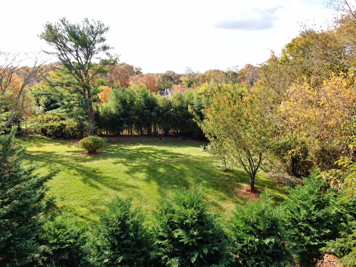 Lot A Merritts Path, Brookhaven, NY, 4 Bedrooms Bedrooms, 8 Rooms Rooms,2 BathroomsBathrooms,Residential,For Rent,Merritts,0,1066098 Lot A Merritts Path, Brookhaven, NY, 4 Bedrooms Bedrooms, 8 Rooms Rooms,2 BathroomsBathrooms,Residential,For Rent,Merritts,0,1066098