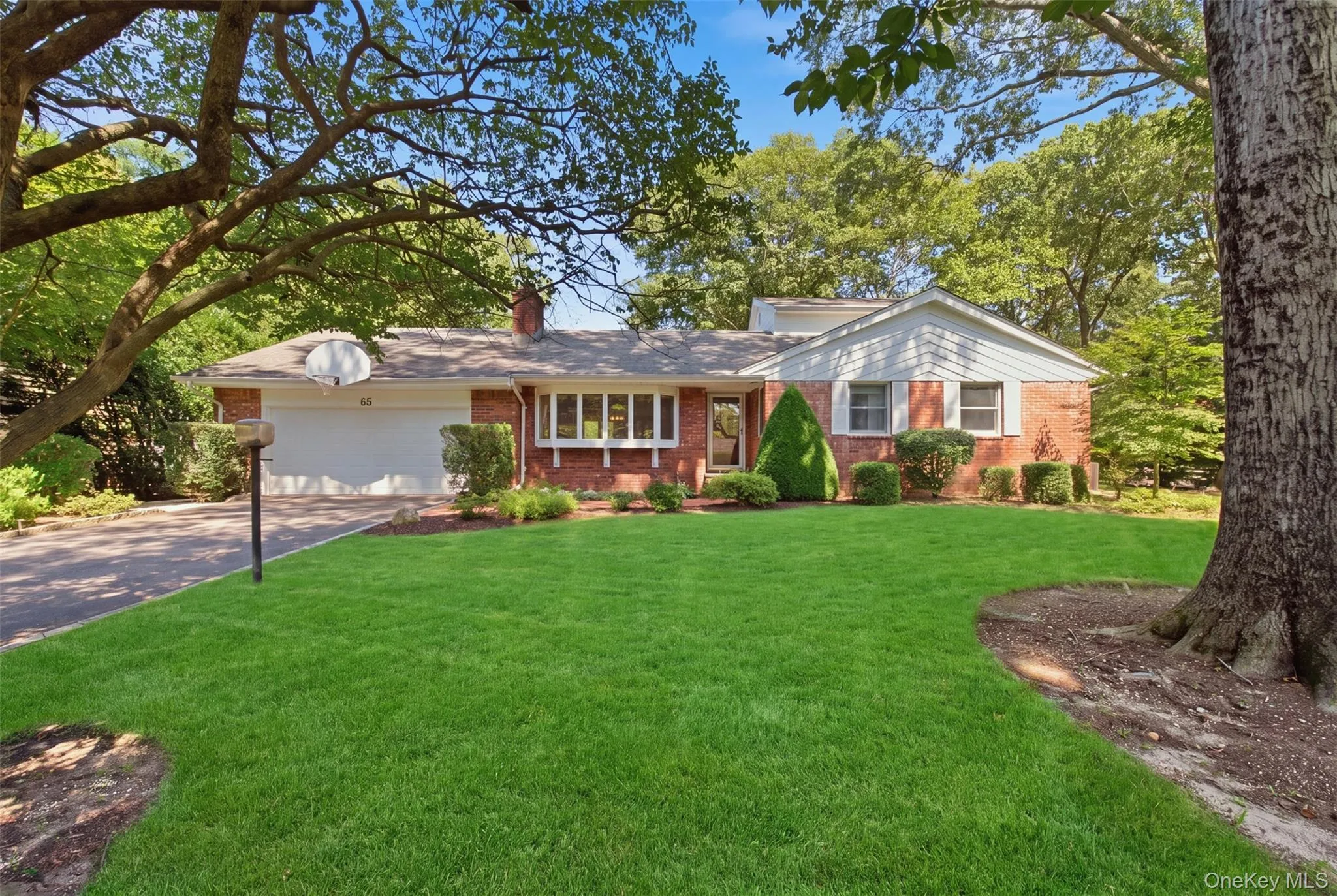 65 Drohan Street, Huntington, NY, 4 Bedrooms Bedrooms, 8 Rooms Rooms,3 BathroomsBathrooms,Residential,For Rent,Drohan,0,1066367 65 Drohan Street, Huntington, NY, 4 Bedrooms Bedrooms, 8 Rooms Rooms,3 BathroomsBathrooms,Residential,For Rent,Drohan,0,1066367