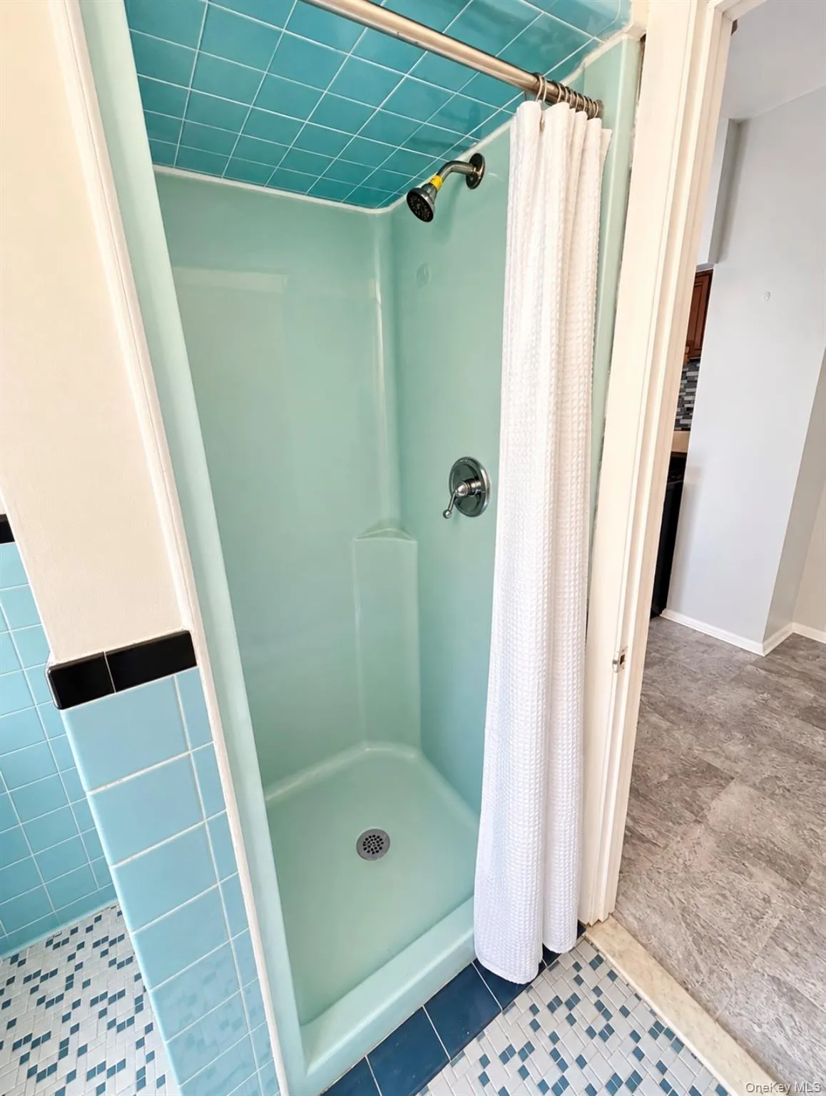 Shower stall with integrated light blue surround, teal tiled ceiling, brushed metal shower head, and single-handle faucet Shower stall with integrated light blue surround, teal tiled ceiling, brushed metal shower head, and single-handle faucet