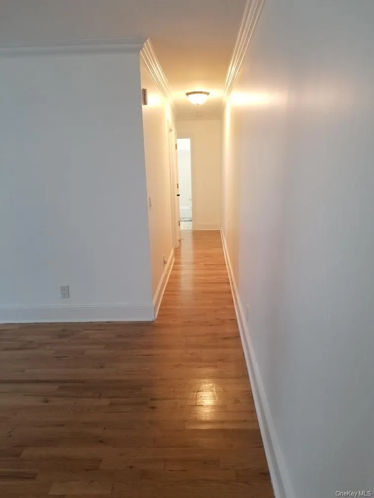 Hallway featuring wood-finish flooring, crown molding, and a flush-mount light fixture Hallway featuring wood-finish flooring, crown molding, and a flush-mount light fixture