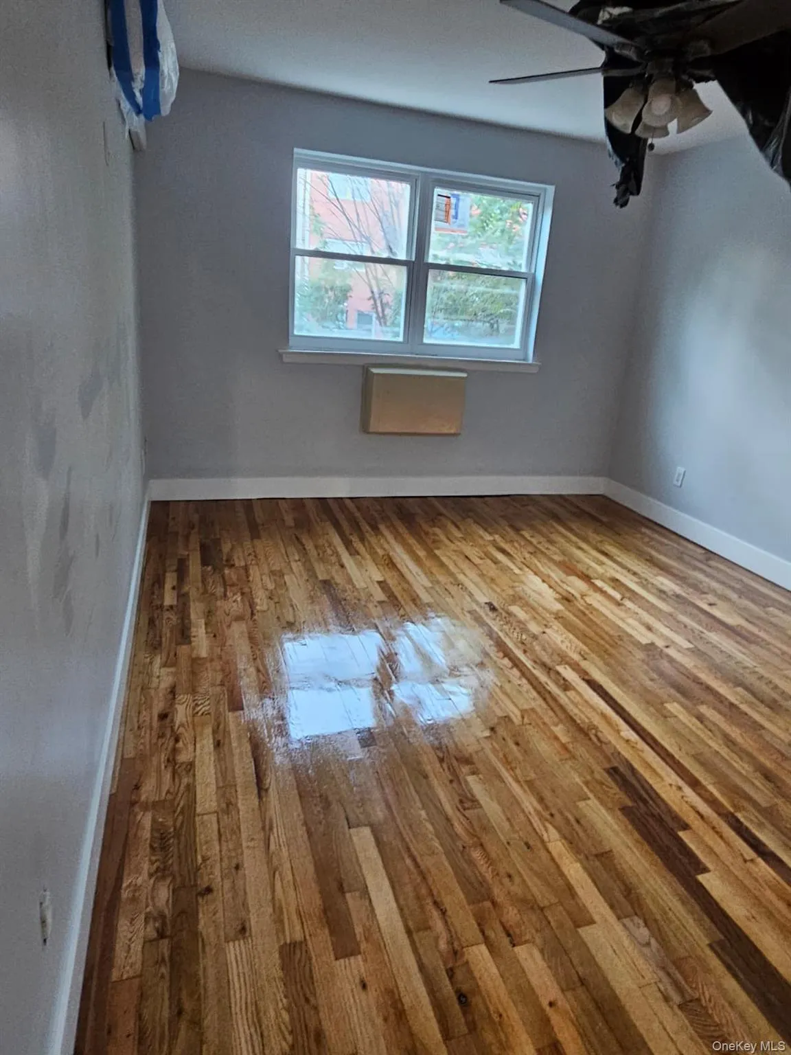 627 Commonwealth Avenue, New York, NY , With , 3 Bedroom , and , 6 Room , 1 Bathroom , For , Residential Lease , For Rent , 1067826 , MLSID,1067826 627 Commonwealth Avenue, New York, NY , With , 3 Bedroom , and , 6 Room , 1 Bathroom , For , Residential Lease , For Rent , 1067826 , MLSID,1067826
