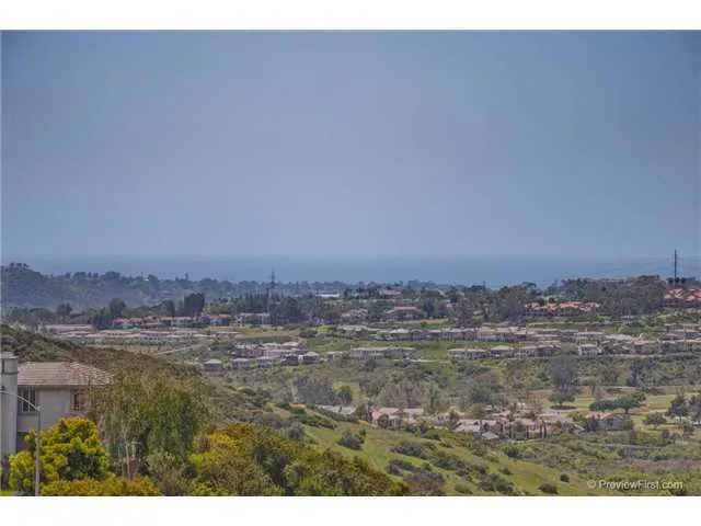 6245 Paseo Alta Rico, Carlsbad, California 92009