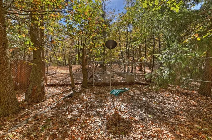21881 Plunge Road, Cedarpines Park, California 92322