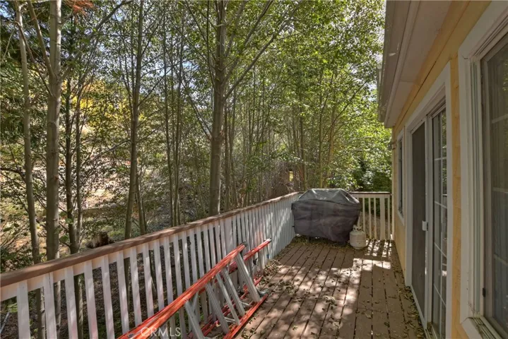 29613 Hook Creek Road, Cedar Glen, California 92321
