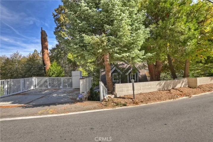 29613 Hook Creek Road, Cedar Glen, California 92321
