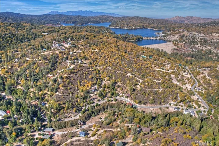 29613 Hook Creek Road, Cedar Glen, California 92321