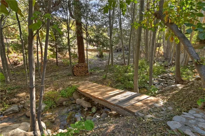 29613 Hook Creek Road, Cedar Glen, California 92321