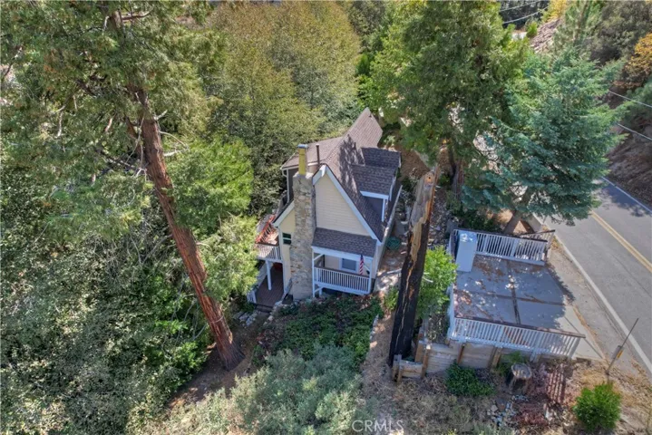 29613 Hook Creek Road, Cedar Glen, California 92321