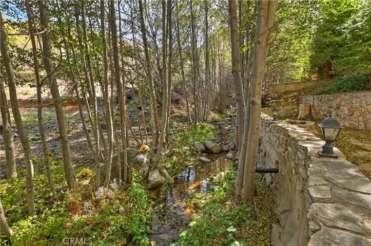 29613 Hook Creek Road, Cedar Glen, California 92321