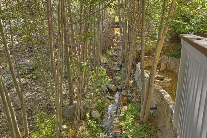 29613 Hook Creek Road, Cedar Glen, California 92321