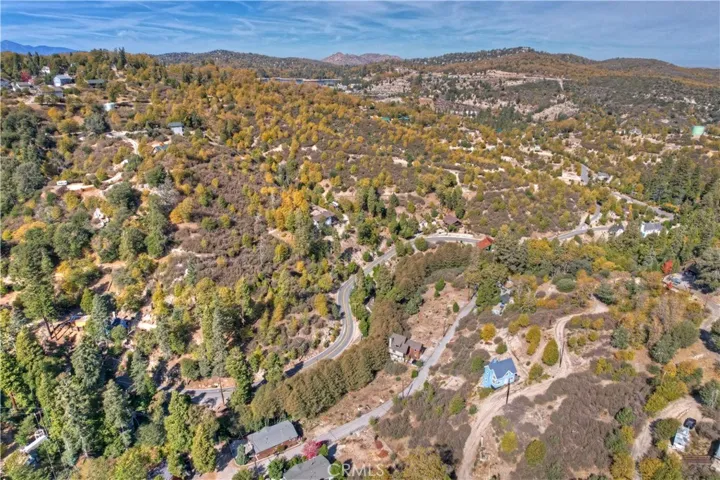 29613 Hook Creek Road, Cedar Glen, California 92321