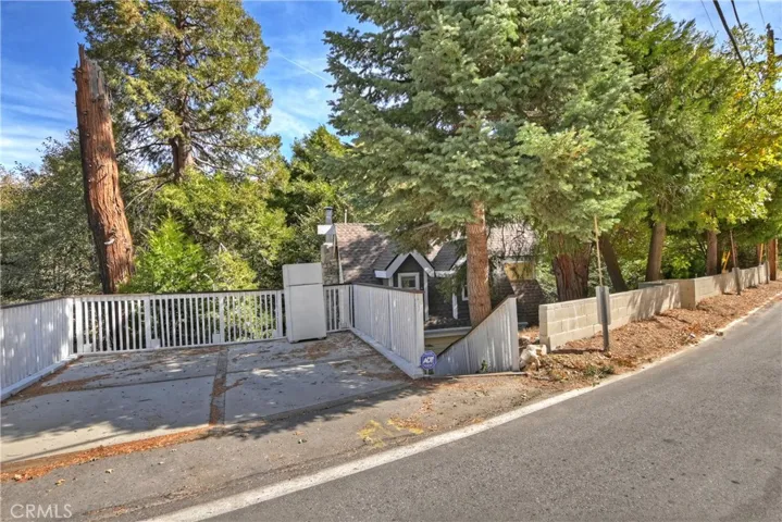29613 Hook Creek Road, Cedar Glen, California 92321