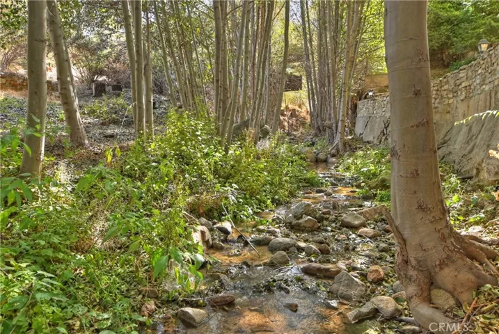 29613 Hook Creek Road, Cedar Glen, California 92321