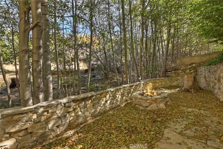 29613 Hook Creek Road, Cedar Glen, California 92321