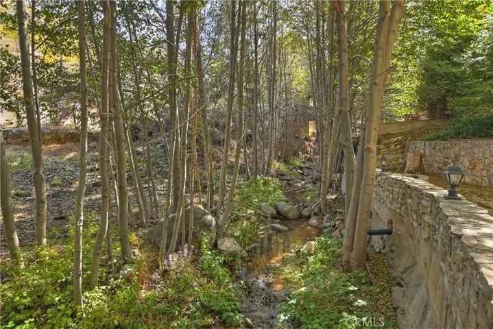 29613 Hook Creek Road, Cedar Glen, California 92321