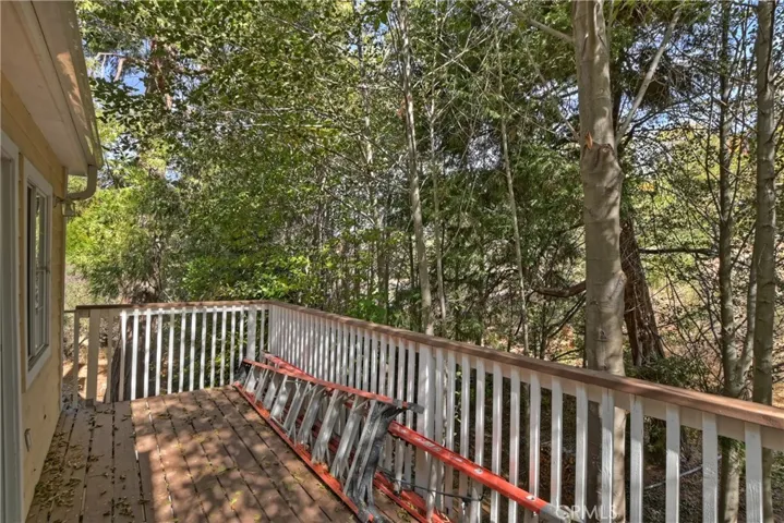 29613 Hook Creek Road, Cedar Glen, California 92321