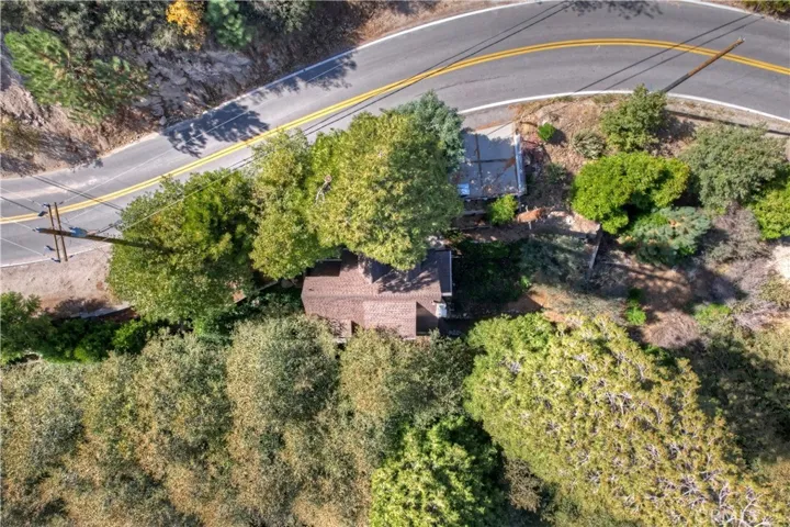 29613 Hook Creek Road, Cedar Glen, California 92321