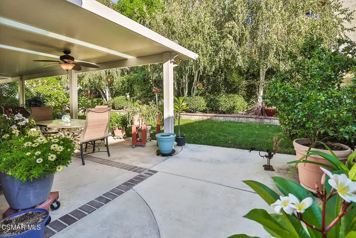 lBackyard2